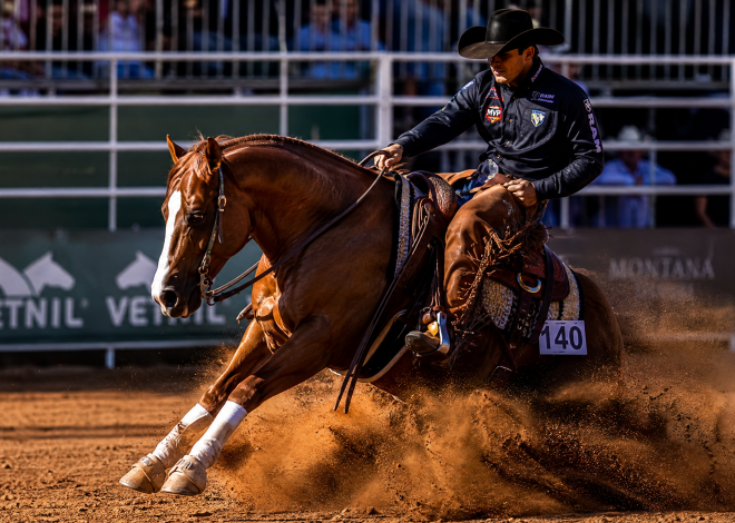 As Raças de Cavalos Mais Populares no Brasil: Guia Completo para Criadores e Entusiastas