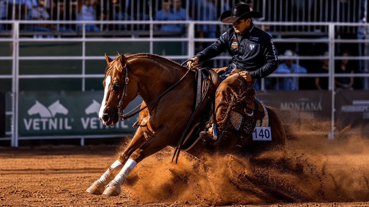 As Raças de Cavalos Mais Populares no Brasil: Guia Completo para Criadores e Entusiastas