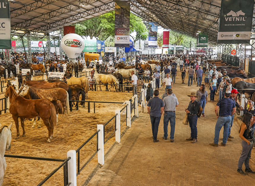 Expointer 2026: O Protagonismo do Setor Equino na Maior Feira Agropecuária da América Latina