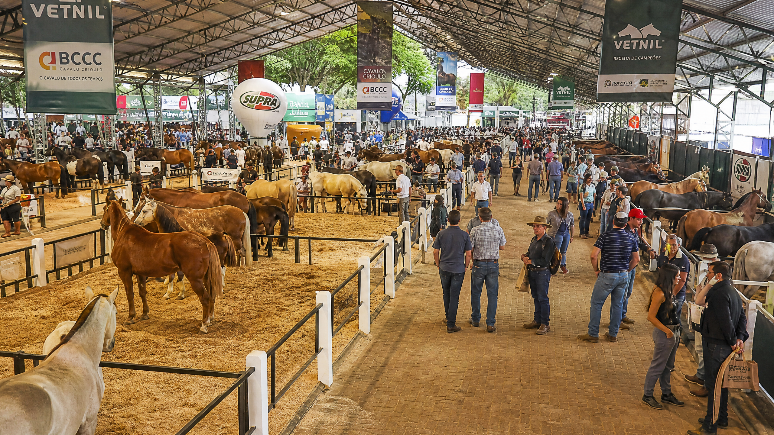 Expointer 2026: O Protagonismo do Setor Equino na Maior Feira Agropecuária da América Latina